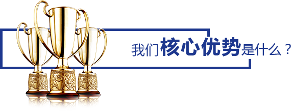 核心優(yōu)勢是什么？
